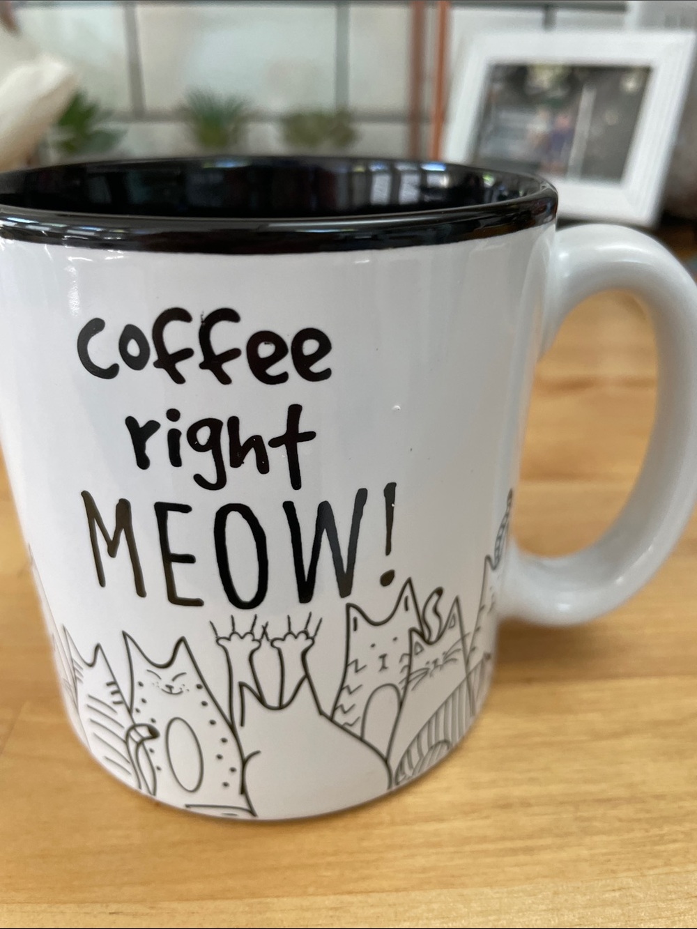 Burton “Coffee Right Meow” Silly Cat Coffee Mug Cup‎ Black and White